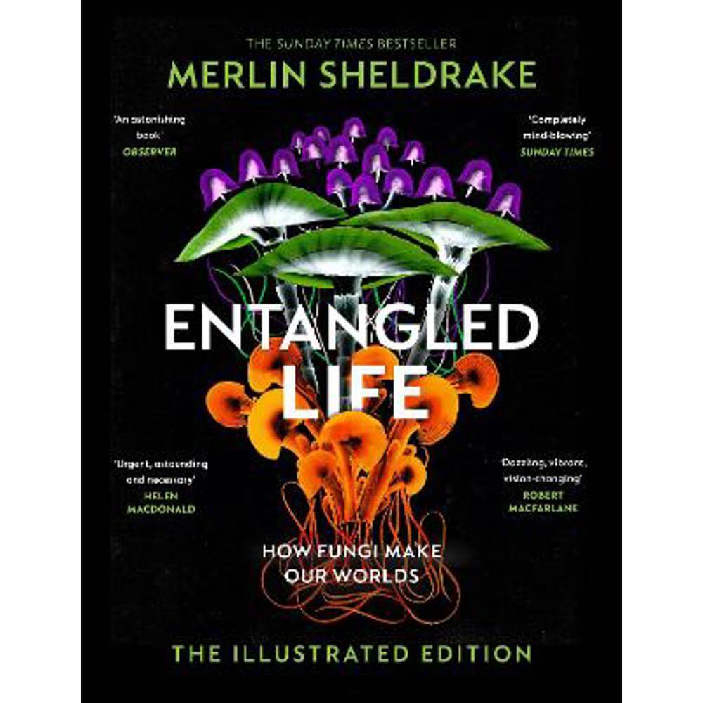 Entangled Life (The Illustrated Edition): A beautiful new gift edition featuring 100 illustrations for Christmas 2023 (Hardback) - Merlin Sheldrake